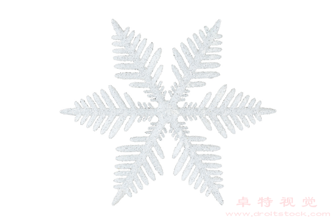 雪花视频素材：《雪花飘落，银装素裹》