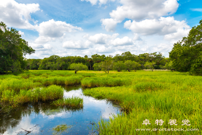 湿地图片素材：保护湿地，守护自然之美