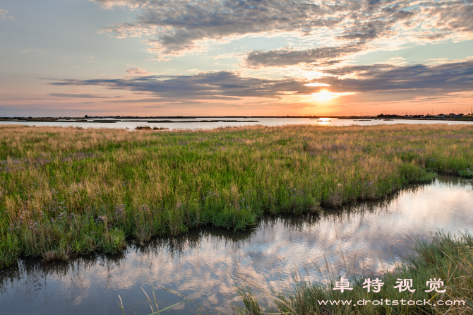 湿地图片素材：保护湿地，守护自然之美