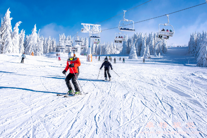 滑雪图片素材：滑雪趣闻大揭秘