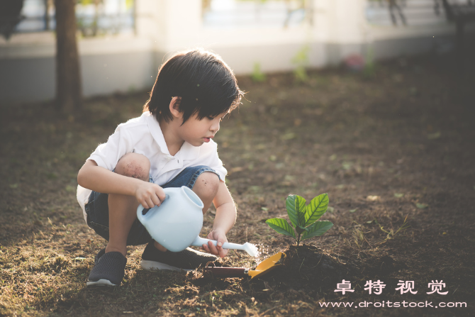 儿童图片素材：关注儿童成长：从教育到保护