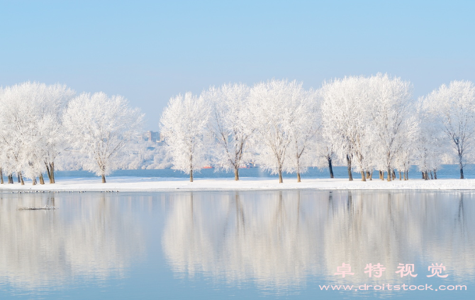 冬天图片素材：寒冬来袭，踏雪寻梅