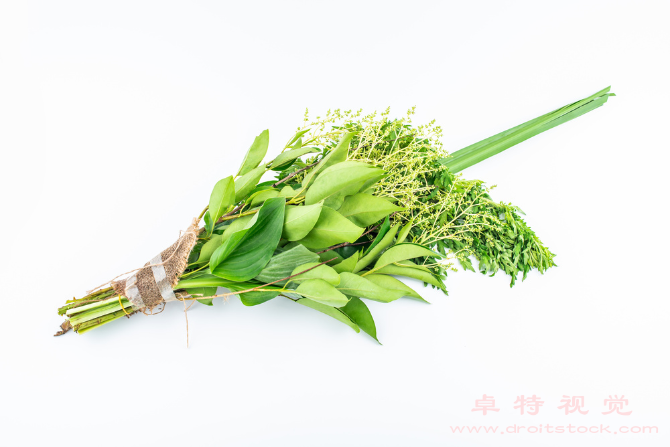 端午节图片素材：端午节：历史、传说与习俗