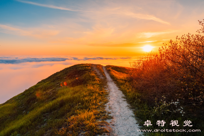 壁纸图片素材：「壁纸装点空间，营造温馨氛围」