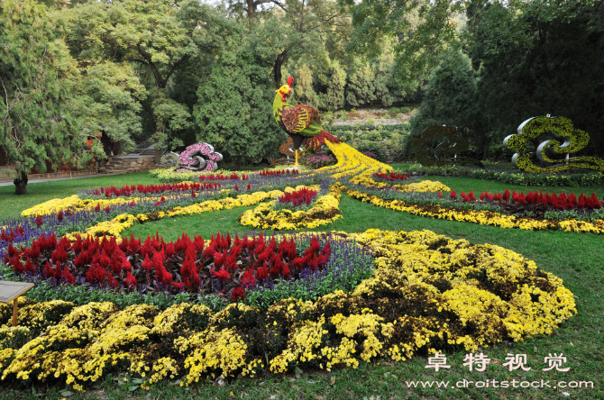 插花图片素材：花舞翩跹：插花艺术盛宴