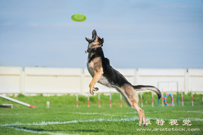 速度图片素材：探索速度：加速、减速与超越