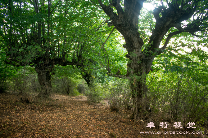 山脉图片素材：千峰环抱，山川秀美：描绘山脉的自然风光