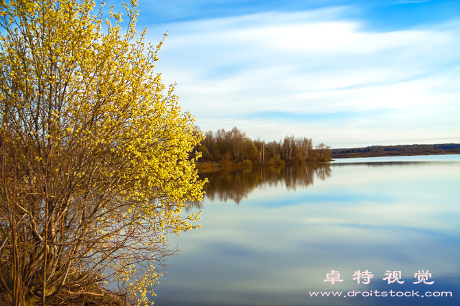 小暑视频素材：享受小暑的清凉气息：夏季养生知识大揭秘