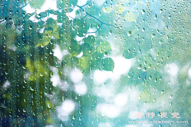 谷雨图片:谷雨小雨润泽春耕