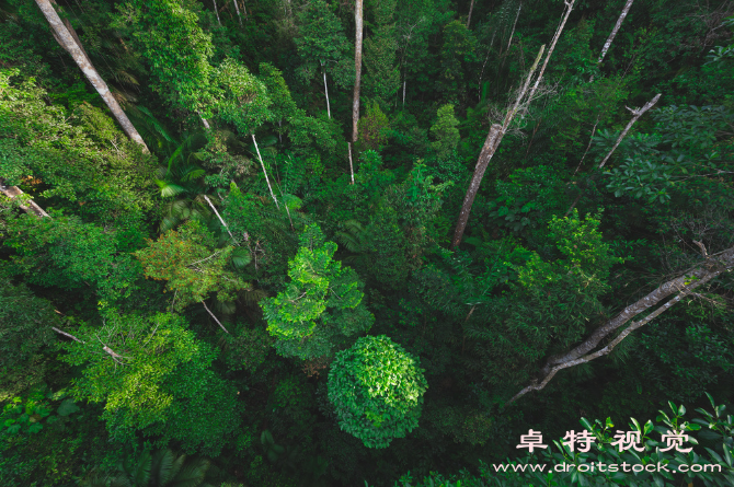 低碳环保图片:低碳环保可持续发展的路径