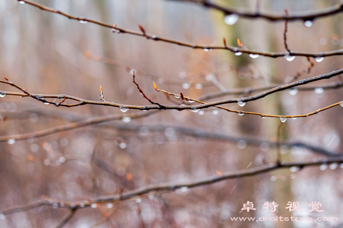 寒露视频素材（寒露是什么历史气候习俗养生通通告诉你）