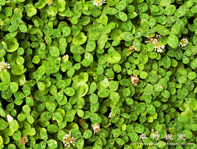 质感背景视频素材（从质感出发探索背景的美好世界）