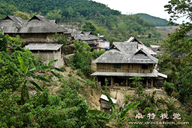 西双版纳视频素材（热带雨林中的明珠西双版纳）