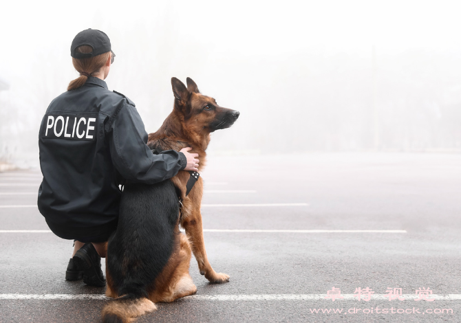 警察视频素材（探讨警察在维护社会安全中的角色和责任）