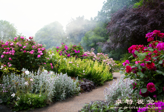 花园图片素材（花园里的美好）