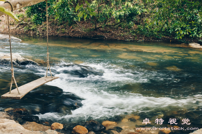 河道视频素材（河道自然之美与生态之重任）