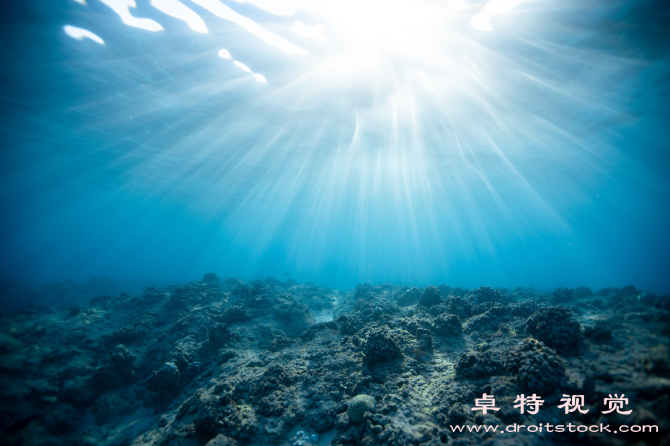 海底图片素材（深海探秘海底世界的神秘之旅）