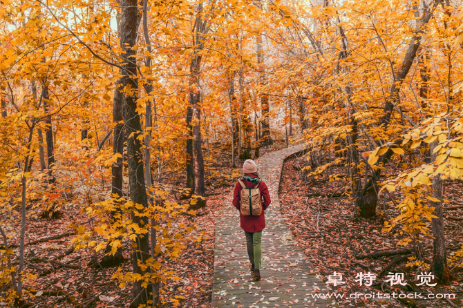 散步图片素材（漫步闲逛散步的益处与方法解析）