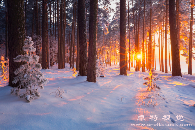 小雪图片素材（小雪飘落冬季初雪的情调）