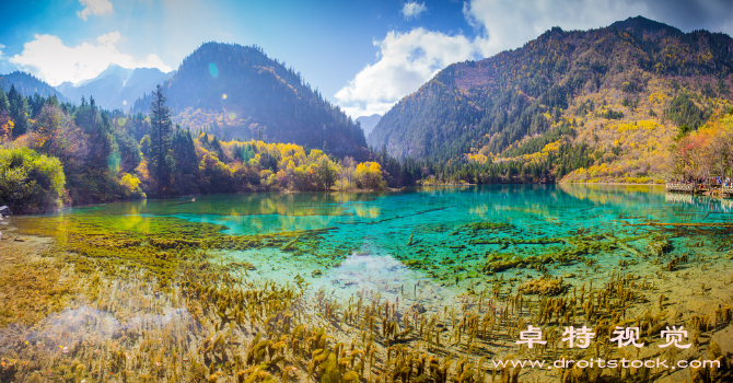 九寨沟图片素材（九寨沟神秘的自然奇观之旅）