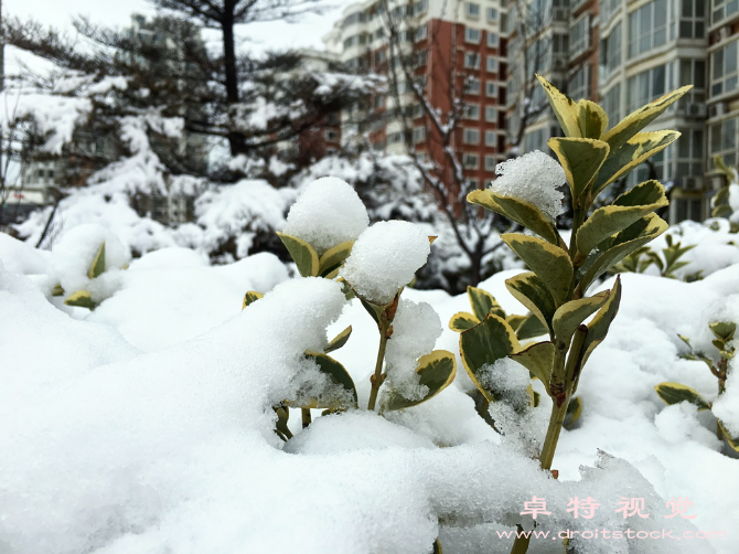 威海视频素材（威海山海相拥的美丽滨海城市）