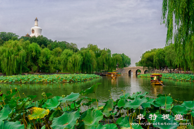 北海视频素材（北海中国南方珍贵的海上明珠）