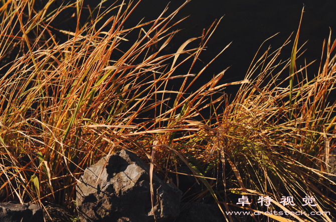 乡村景观视频素材（乡野风光无限好探索中国乡村景观的多彩世界）