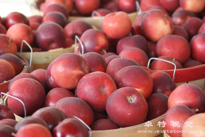 农贸市场视频素材（农贸市场农产品之都城市饮食安全的关键补给站）