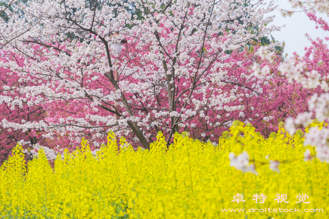 航拍风光视频素材（天空之眼航拍美丽风光）