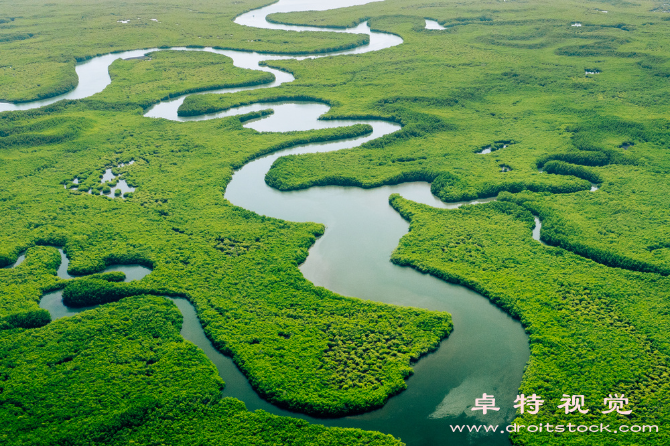 绿水青山视频素材（珍爱绿水青山迎接美好明天）