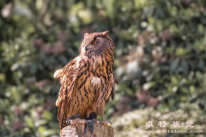 芜湖视频素材（芜湖概览一个美丽的中国城市）