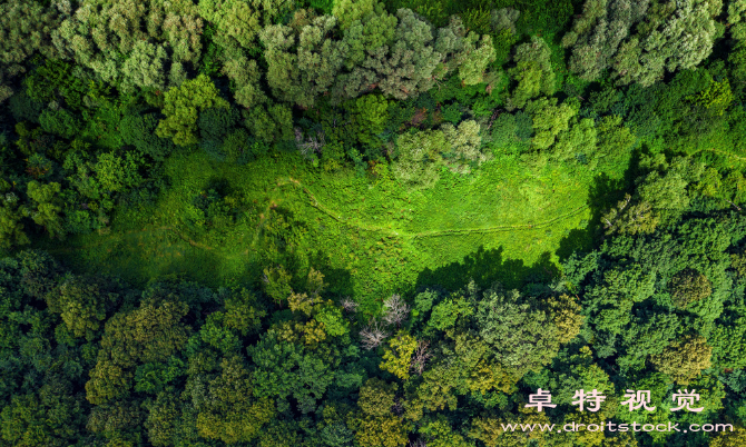 鸟瞰图视频素材（从高空俯瞰发现城市的另一面鸟瞰图揭示城市景观与规划）