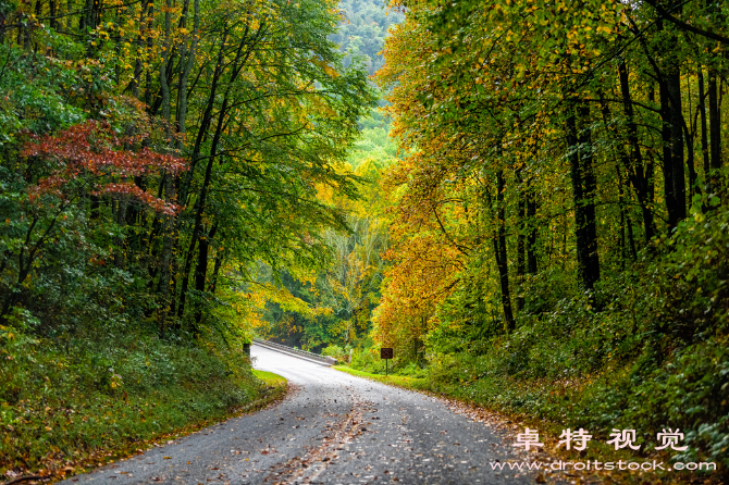 公园路面视频素材（公园道路铺设的规划和施工方案）