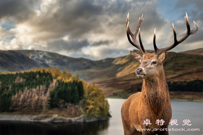 大气图片素材（大气环境污染与预防控制）