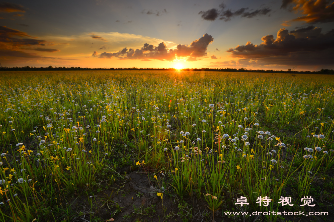 大气图片素材（大气环境污染与预防控制）