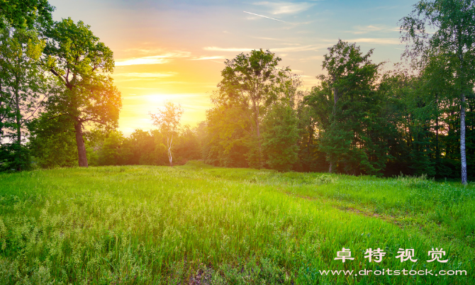 土地图片素材（探究土地的意义与价值）