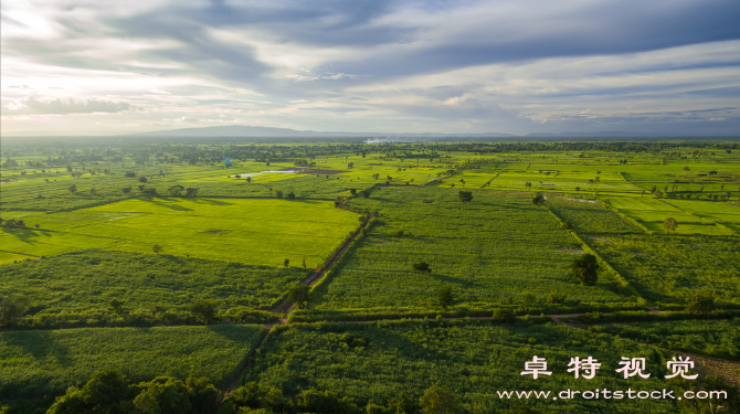 土地图片素材（探究土地的意义与价值）