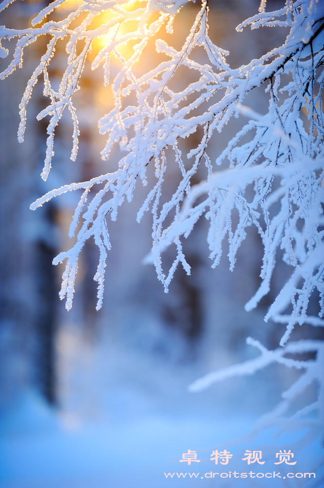 寒冷图片素材（冰天雪地何去何从寒冷环境下的挑战与应对）