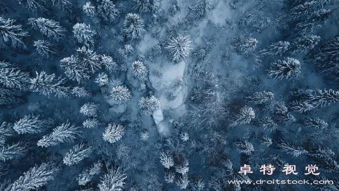 寒冷图片素材（冰天雪地何去何从寒冷环境下的挑战与应对）