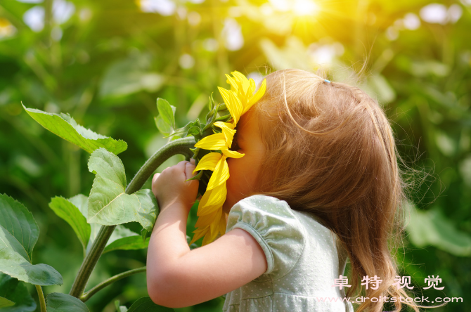 赏花图片素材