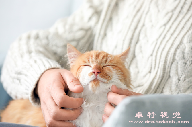 猫人图片素材