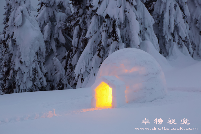 雪屋图片