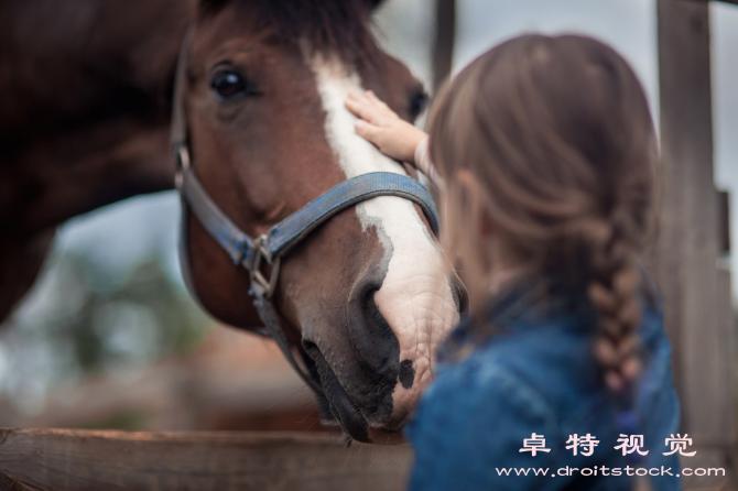 马图片