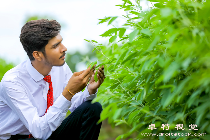 学习园地图片素材，可商用的图片素材网站