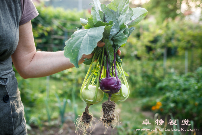 劳动最光荣拥抱辛勤劳动共筑美好未来