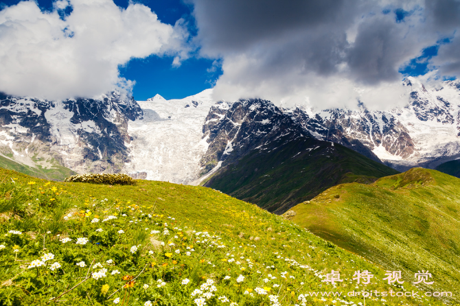 探索雪山草地自然奇观中的壮丽美景