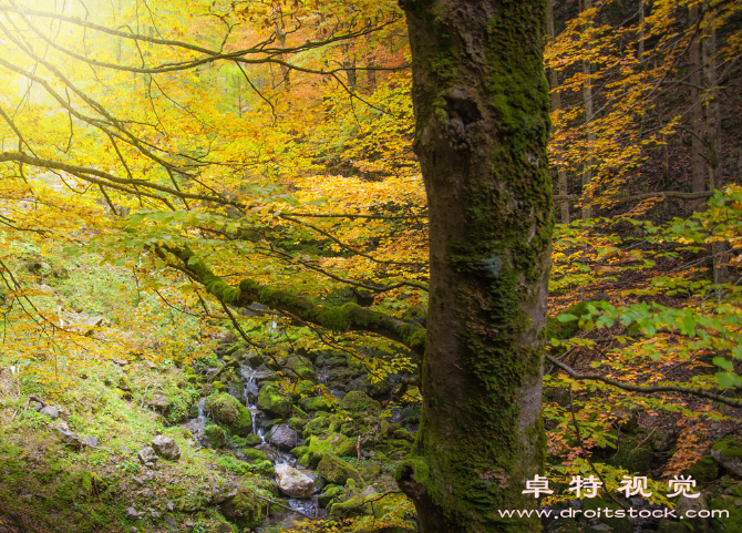 水彩风景图片素材，可商用的素材网