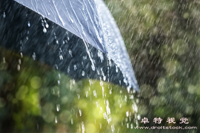 细雨如丝与大地相拥浪漫雨景