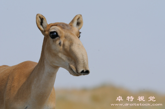 保护环境的图片素材