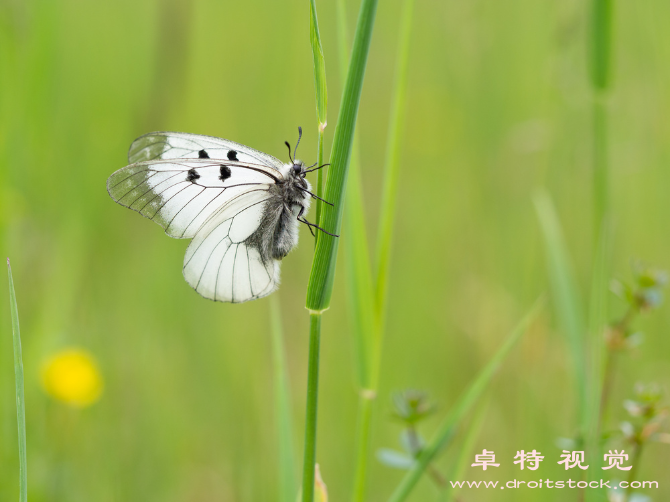 保护环境的图片素材，高清图片素材库